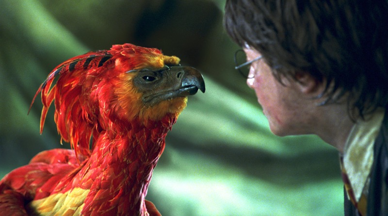 A buildable LEGO Harry Potter Fawkes set may be on the way in 2021