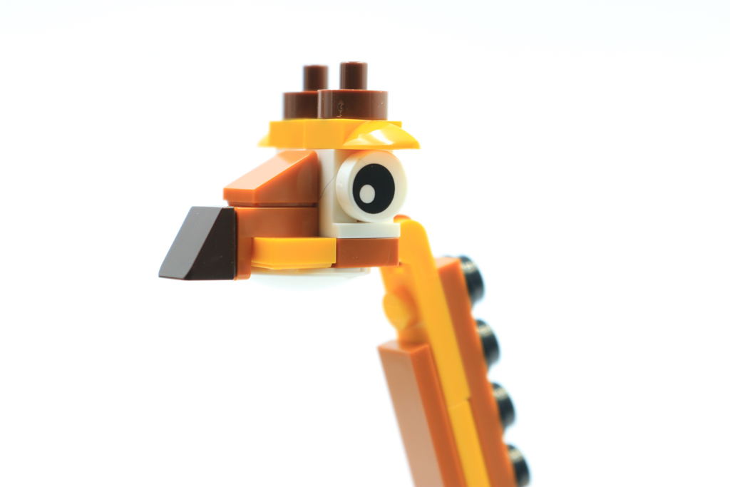 31116SafariWildlifeTreehouse16