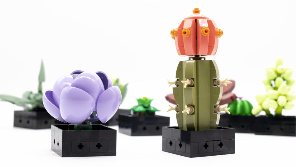LEGO The Botanical Collection 10309 Succulents 16 1024x576