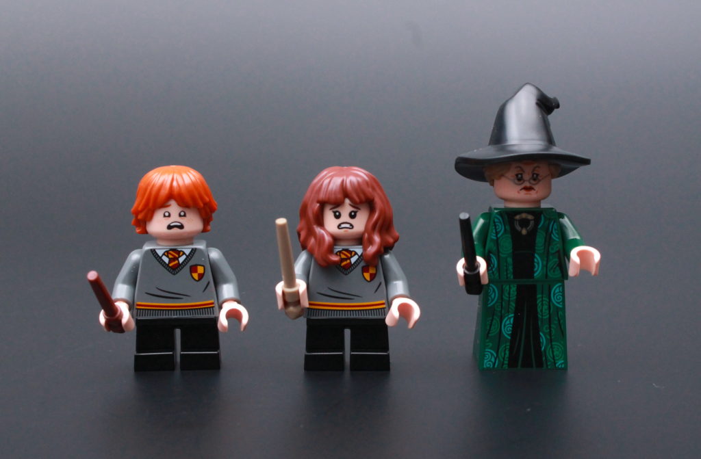 LEGO Harry Potter 76382 Hogwarts Moment Transfiguration Class 11